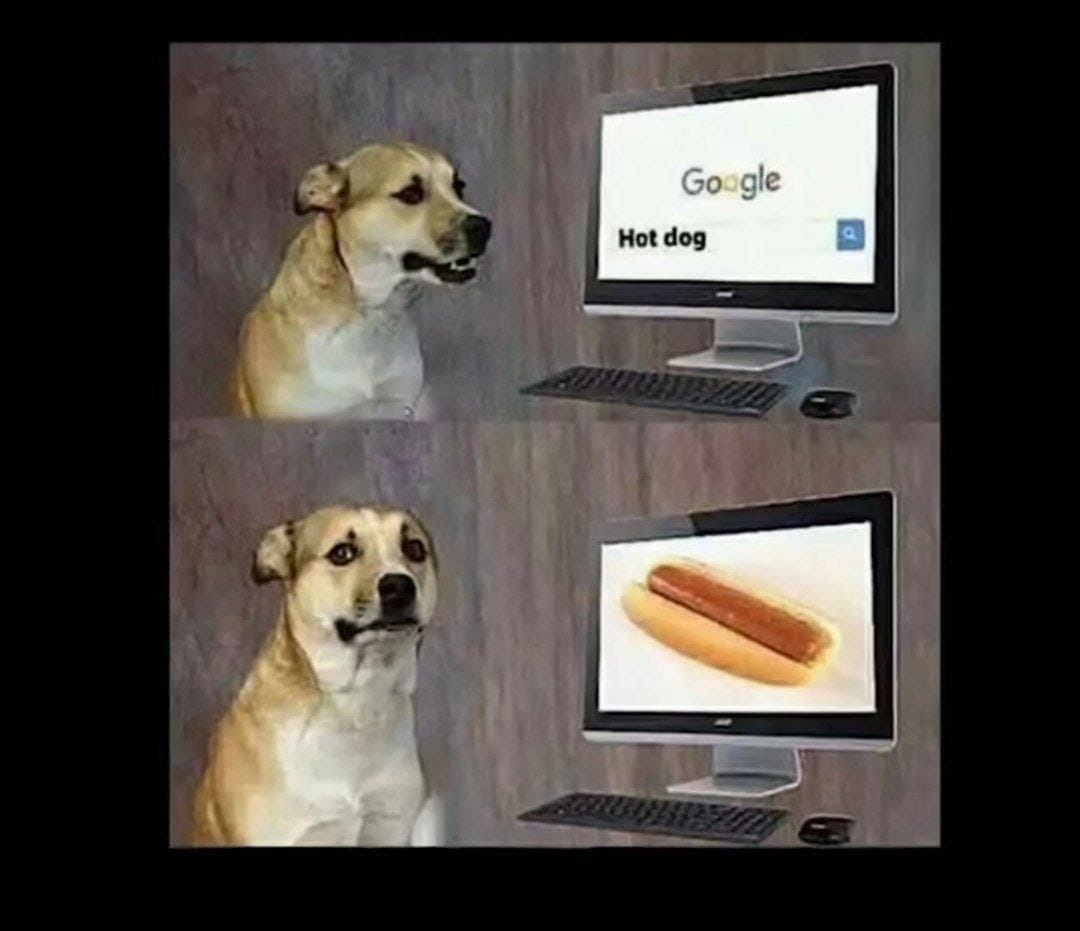 Hot Dog.jpg