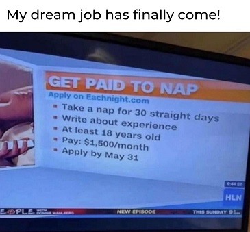 Dream Job.jpg