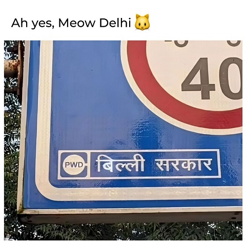 Meow Delhi.jpg