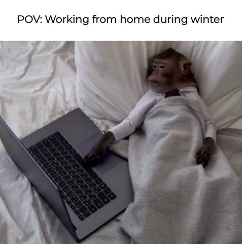 work from home.jpg